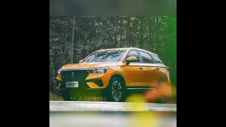 مهرجان كله عادي زي غيرو صدي صوت كامل Ahmed Behاحمد بيه 