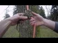 How to tie a Prussik hitch for tree climbing Arborist knot tying