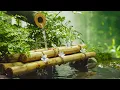Download Lagu Beautiful Piano Music 🌿 Relaxing Music with Bird Sounds #2