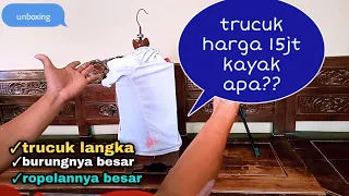 Download UNBOXING TRUCUK KEBO LANGKA HARGA 15 JT MP3