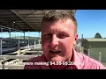 2026 Moss Vale Cattle Sale