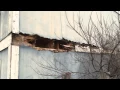 T1-11 siding failure