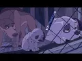 Download Lagu 101 Dalmatians 2 - You Promised (HD)