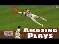 MLB Best Plays May 2024
