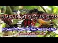 Download Lagu Suara pikat burung sikatan kipas ribut mp3