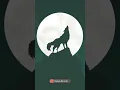 Download Lagu wolf howling sound HQ