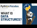 Data Structure - Explained in Hindi Complete Python Pandas Tutorial