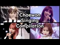 IZ*ONE - Kim Chaewon Vocal Compilation [Produce48 - Fiesta] 김채원