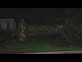 Storm damage and power outages in greater Cleveland Aftermath of severe weather on April 1 2026