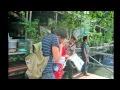Download Lagu Sik sik si batumanikan