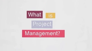 What is project management