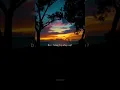 Download Lagu BTS (방탄소년단) 'Spring Day' (봄날) Lyrics [whatsapp status] | Jinrassicpark