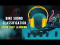 Bird Sound Classification using Deep Learning TensorFlow CNN Project