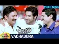 Download Lagu Vachadura video Song |   Brindavanam Movie | Jr NTR
