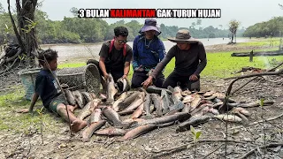 5 HARI BERBURU IKAN DI HUTAN, SUNGAI & RAWA SAAT KEMARAU PANJANG DI KALIMANTAN 😅 #bocahpecicilan