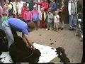 Download Lagu 1998 Opendag Zorgboerderij De Dijckhof