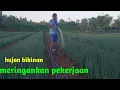 Download Lagu Teryata ini penyebab lembab di tanaman pakde fahrozi