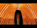 Download Lagu Attack on titan the Rumbling in live-action 2