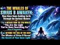 THE WHALES OF SIRIUS B ARE HERE A Secret Message From the Deep About Your Hidden Light