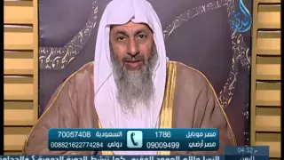 هل يحاسب الإنسان على أفعاله قبل البلوغ   الشيخ مصطفى العدوي دندنها