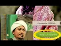 Download Lagu TGH Muzayyin Sobri : Inilah Kekeramatan Ummuna Al Mujahidah Hj  Sitti Raihanun ZAM