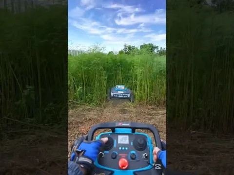 Have Fun with This Robot Lawn mower #robotics