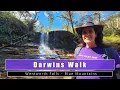 Explore the Reopened Darwins Walk Wentworth Falls Creekside Trail Family Friendly Dog Friendly