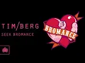 Tim Berg - 'Seek Bromance' (Avicii's Arena Mix)