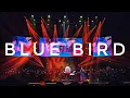 Download Lagu [4K] Blue Bird - Naruto Shippuden Ost - an Anime Symphony Jakarta 2023