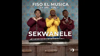 fiso el musica sekwanele feat sims u0026 tracy official audio 