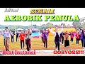 Download Lagu SENAM AEROBIC PEMULA | MUSIK POP (Wali Band) BEAT INSTANSI | SUPER GOBYOS | Irna Chendani