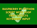 Raspberry Pi Python script with loop that detects keyboard input 3 Solutions