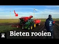 Bieten Rooien, Gras Maaien \u0026 Jongvee naar buiten