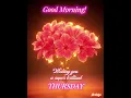 Happy Thursday