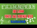 Download Lagu Ari Lasso Cintai Aku Sepenuh Hati Karaoke