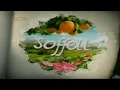 Iklan Soffel (2010, 30s) - Dua perlindungan @ RCTI, Trans 7, ANTV, tvOne, SCTV
