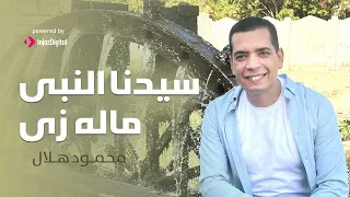 سيدنا النبى ماله زى    انشودة المولد   محمود هلال دندنها