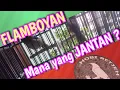 Download Lagu Hasil Ngombyok Asal Comot, Flamboyan Jantan dan Betina