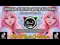 Download Lagu Dj Hanya Dirimu Yang Ku Mau - Cut Rani Auliza || Dj Santai Full Bass