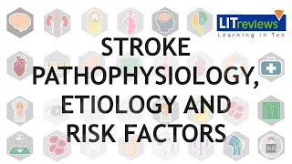 Stroke Pathophysiology, Etiology and Risk Factors