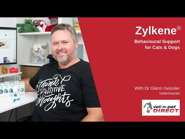Zylkene Capsules - Behavioural Support for Cats & Dogs