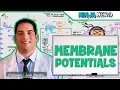 Neurology Resting Membrane Graded Action Potentials