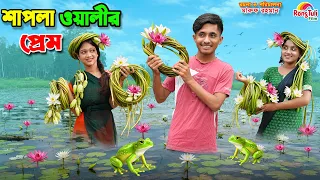 শাপলা ওয়ালীর প্রেম | shapla walir prem | dihaner natok | dihan | new bangla natok 2026 |