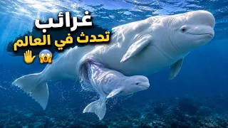  4 دقائق من العجائب🤔😨 : حقائق مذهلة عن جسم الإنسان وعالم الحيوان!