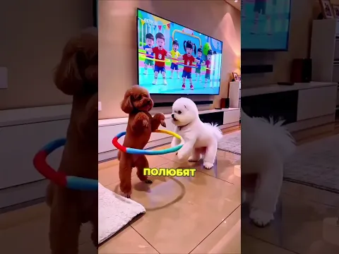 Она не включит телевизор!