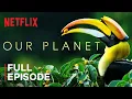 Download Lagu Our Planet | Forests | FULL EPISODE | Netflix