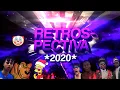 Download Lagu BEAT DA RETROSPECTIVA 2020 - Acabou - Melhores Memes  (FUNK REMIX) by Canal Sr. Nescau