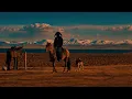 Willylancien - Loyauté