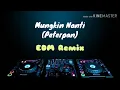 Download Lagu EDM Remix - Mungkin Nanti (Peterpan)