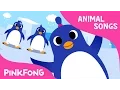 Download Lagu The Penguin Dance | Animal Songs | PINKFONG Songs for Children